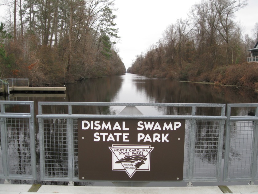 Dismal Swamp 1-13-18 (3)