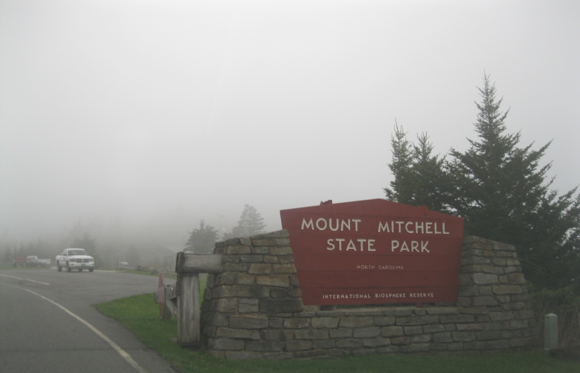 mount-mitchell-5-11-18-42.jpg